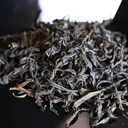 Feng Huang Dancong Hong Jun