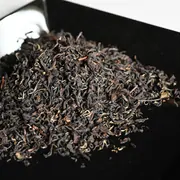 Ohmi Kōcha Kōshun 