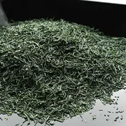 Japan National Tea Competition Tamaryokucha