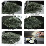 Japan National Tea Competition Tasting Set