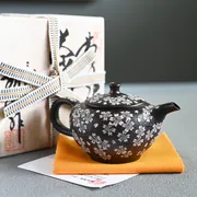 Shun'en Black Marugata Inlay Sakurabori Ushirode Kyusu