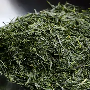 Ohmi Shincha Asatsuyu