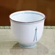 Pine Needle Teacup