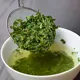 Sencha Seiga