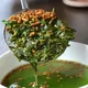 Matcha Iri Genmaicha Genmyo
