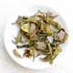 Bing Dao Gu Shu