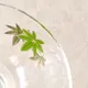 Glass Hira Chawan Aokaede