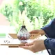 Edokiriko Furidashi Edomurasaki