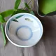 Chawan Haiyū Ayu