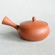 Gyokko Shudei Hirafukurogata Kyusu