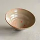 Soba Chawan Iriho Utsushi