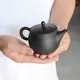 Gyokkō Kokudei Ushirode Kyusu