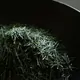 Ohmi Competitive Shincha