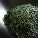 Ohmi Competitive Shincha