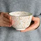 Chawan Sofuzakura