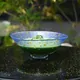 Glass Hira Chawan Hoshizora