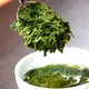 Tea Testing Strainer