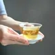 Yōjōcha Irodori Moegi Premium