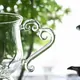 Meiren Glass Teacup