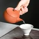 Gyokko Shudei Hirabukuro Sensuji Kyusu