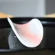 Hakudei Inka Chasoku Shirasagi