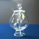 Meiren Glass Teapot 