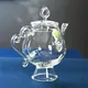 Meiren Glass Teapot 