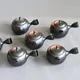 Shōryū Yōhen Tenmoku Marugata Kyusu