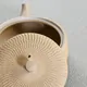 Gyokkō Yakishime Hiragata Biri Kyusu