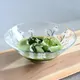 Glass Hira Chawan Sagigusa