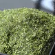 Gyokuro Konacha