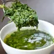 Sencha Tenga