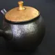 Shoryu Tenmoku Kintsumami Kyusu