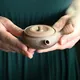 Kohokujo Yakishime Hiragata Kyusu Small