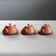 Tōzan Shudei Fujisangata Ushirode Kyusu