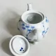 Hasamiyaki Ushirode Kyusu Take