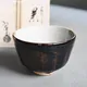 Chawan Haiyū Kakewake Hakuba ni Fujisane
