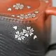 Shunen Ushirode Chachu Sakura