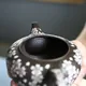 Shun'en Black Marugata Inlay Sakurabori Ushirode Kyusu