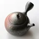 Shōryū Yōhen Tenmoku Marugata Kyusu