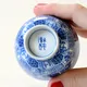 Kikkou Shonzui Teacup