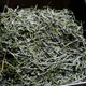 Gyokuro Hisa Homare