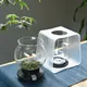HARIO Tea Dripper LARGO Stand Set