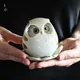 Urara - Owl