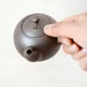 Masaki Marugata Muji Kyusu Small