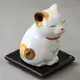 Urara - Small Cat