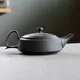 Takasuke Ushirode Hira Kyusu