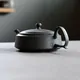 Takasuke Ushirode Hira Kyusu