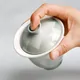 Ichimatsu Gaiwan Celadon Green
