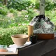 Matcha Picnic Set